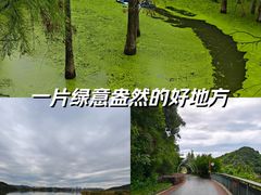 -青山湖景区