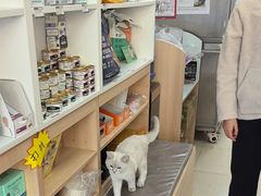 -宠福鑫康馨动物医院·骨科·眼科