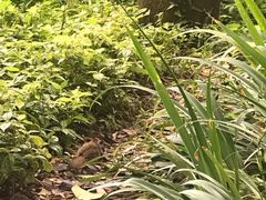 -花溪王记牛肉粉(四季花溪商场店)