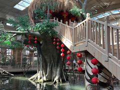 -南宫五洲植物乐园