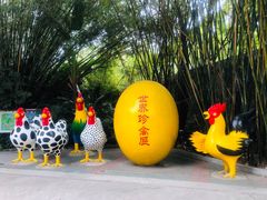 -深圳野生动物园