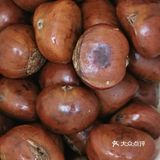 还有谁和我一样爱吃栗子🌰？