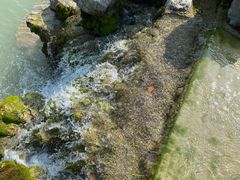 -南京珍珠泉风景区