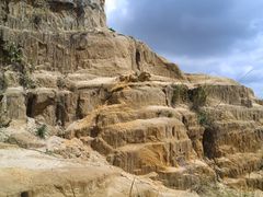 -彩色沙林风景区