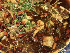 来凤鱼-新概念来凤鱼(璧山店)