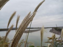-伍山海滨石窟