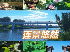 -羊亭河湿地公园