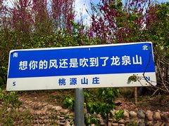 -桃源山庄·水蜜桃采摘·柴火鸡·烧烤团建(龙泉山店)