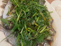 -揭阳钟记小食(福田新村店)