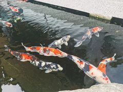 -贵阳高新惠诚食品有限公司