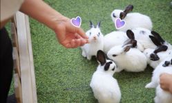 -萌宠亲子动物乐园(槐房万达店)