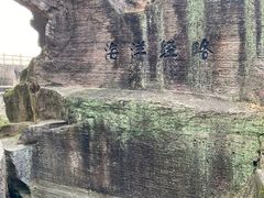 -蛇蟠岛