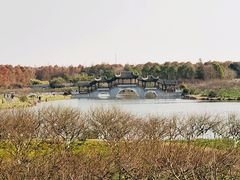 -上海海湾国家森林公园