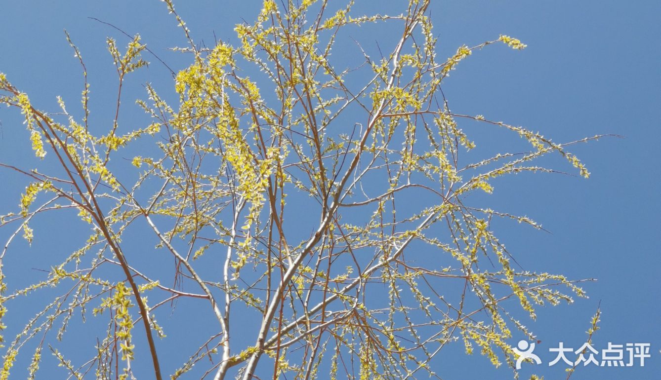 在医院里面压盖的吗!好爱好爱爸爸发个娃,哦哦好