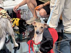 -华谊兄弟（长沙）电影小镇