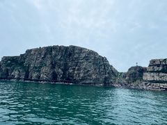 -蓬莱欧乐堡海洋极地世界