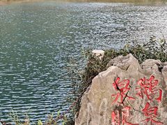 -靖西鹅泉风景区