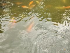 -珠海圆明新园