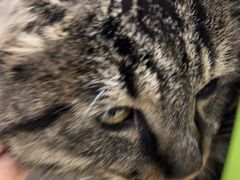 -瑞派天宁宠物医院·猫科·异宠中心