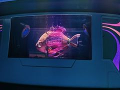 -海底巡游艇:尼莫和好友的海洋世界