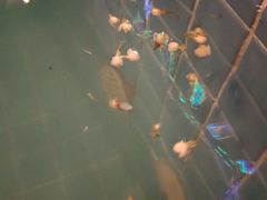 -灵秀温泉