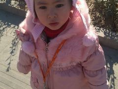 android_upload_pic-济南森林公园