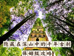 -天台山国清景区(国清寺)