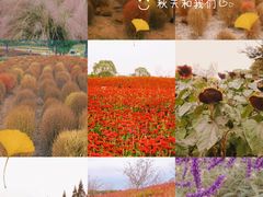-花开海上生态园