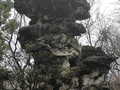 -拙政园