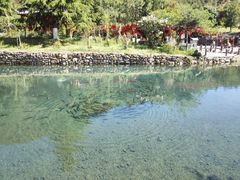 -丽江玉水寨