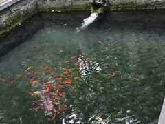 -四门塔风景区