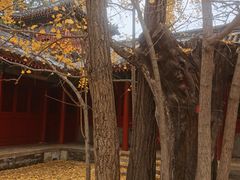 -承恩寺