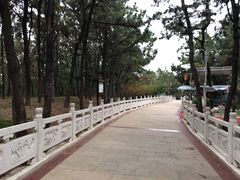 -林海公园