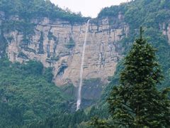 -重庆睡佛山森林公园