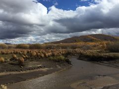 -塞罕坝国家级自然保护区