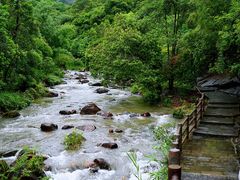 -广州白江湖森林公园