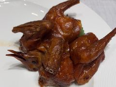 中山妙龄乳鸽-富淳饭店(世纪公园店)