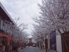 -智慧湾科创园
