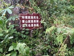 -荔江湾景区