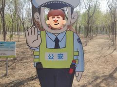 -西青郊野公园