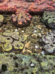 -钓虾工场·钓虾·赶海(回龙观店)