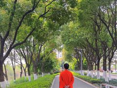 -皇粮浜湿地公园