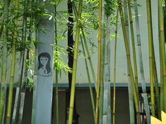 -东部华侨城