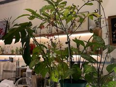 -绿小院(荔湾店)