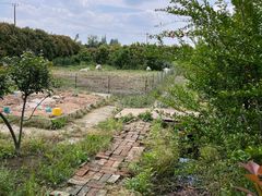 -小鱼草莓采摘园农家乐·小鱼餐厅