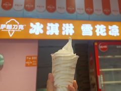 -萨朗刀克冰淇淋雪花凉(植物园店)