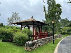 -东莞植物园