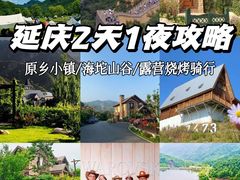 -桔子文创·企业团建·活动策划·拓展会议