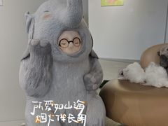 -辰熙ACX星海艺术中心