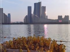 -天鹅湖体育公园